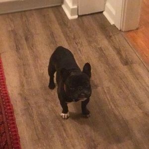 Meet your Posher, Tom